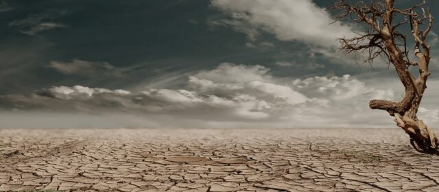 AN OASIS IN A DESERT OF FREEDOM – The Serenity Prayer